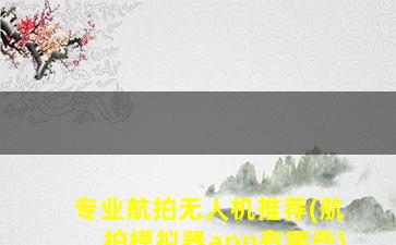 专业航拍无人机推荐(航拍模拟器app有哪些)