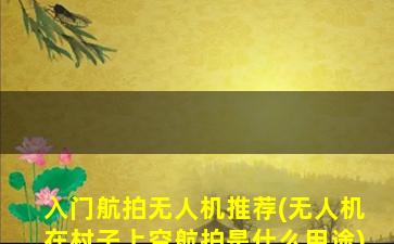 入门航拍无人机推荐(无人机在村子上空航拍是什么用途)