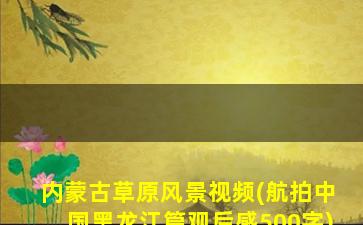 内蒙古草原风景视频(航拍中国黑龙江篇观后感500字)